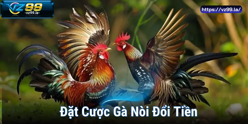 Đặt Cược Gà Nòi Đổi Tiền