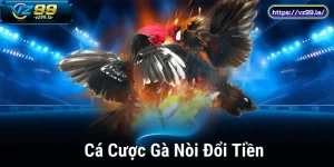 Tham Gia Cá Cược Gà Nòi